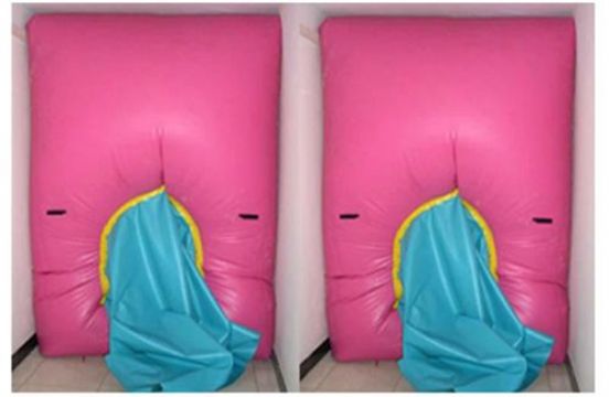 點擊查看詳細(xì)信息<br>標(biāo)題：快速封堵氣囊 閱讀次數(shù)：2688