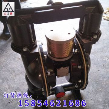 點(diǎn)擊查看詳細(xì)信息<br>標(biāo)題：氣動(dòng)隔膜泵 閱讀次數(shù)：1928