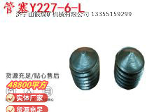 點(diǎn)擊查看詳細(xì)信息<br>標(biāo)題：英格索蘭隔膜泵配件管塞Y227-6-L 閱讀次數(shù)：302