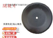 點擊查看詳細信息<br>標題：氣動隔膜泵配件-隔膜片 閱讀次數(shù)：238