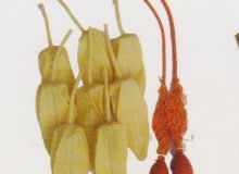 點擊查看詳細信息<br>標(biāo)題：取氣樣球膽 閱讀次數(shù)：194